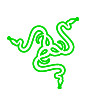 Razer logo